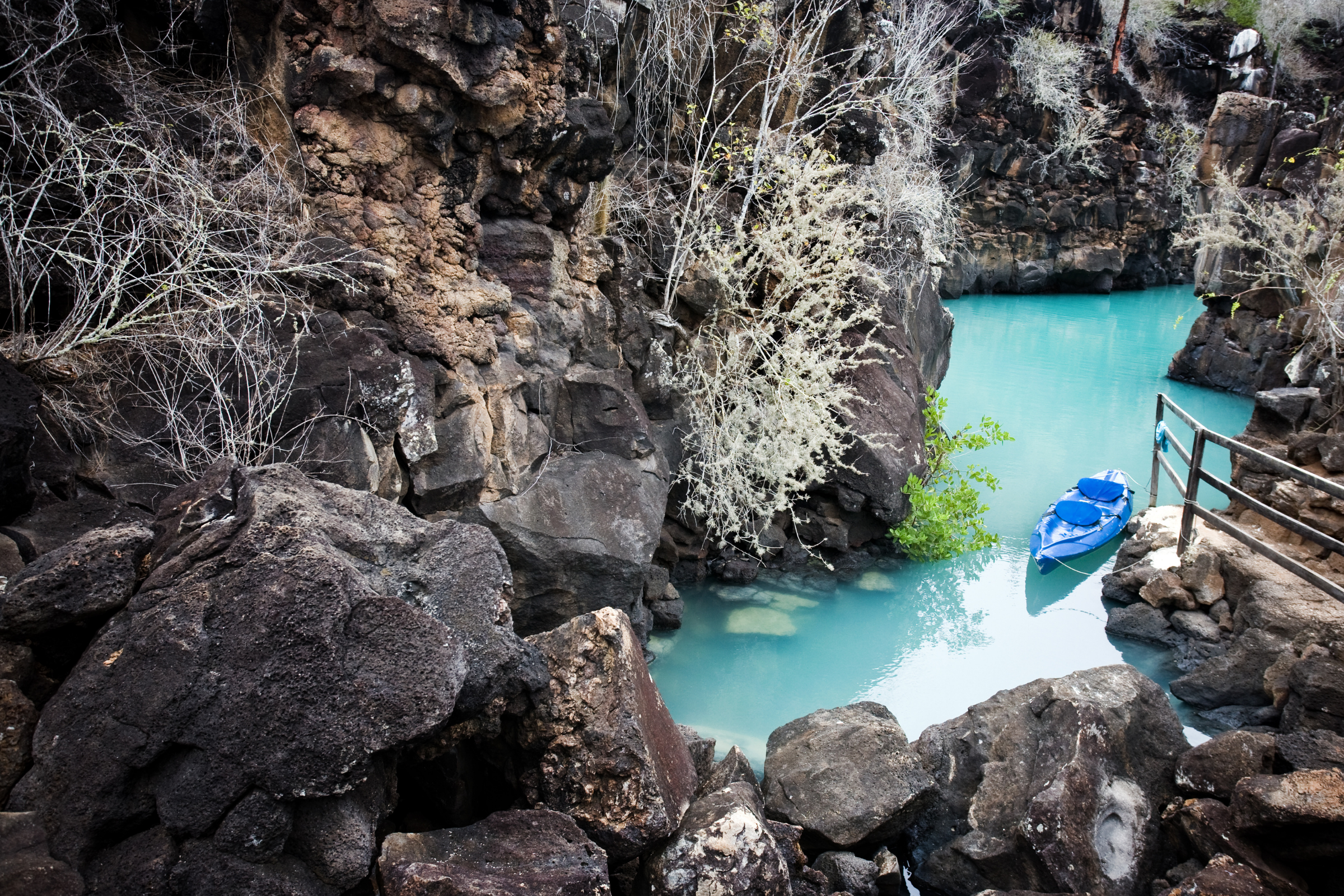 buccaneer cove, santiago island, galapagos islands (3).webp
